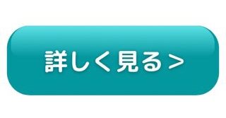 詳しく見る